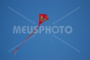 Red kite flying in the sky - MeusPhoto